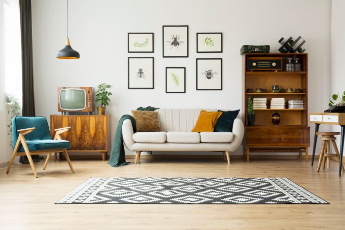 How decorate your living room Tips and Ideas for a Stylish Space