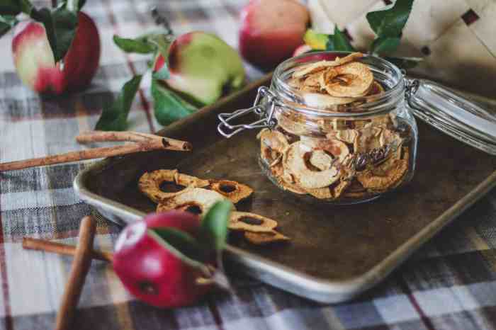 Dried apples rings dehydrator drying backroadbloom