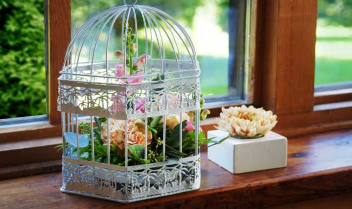 How to Create Small Bird Cage Decor A DIY Guide